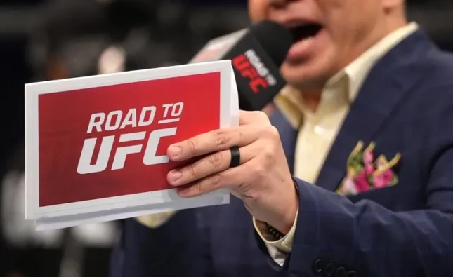 The Road to UFC Season 3 Finale: Who Will Earn a Spot on the UFC Roster for 2025?